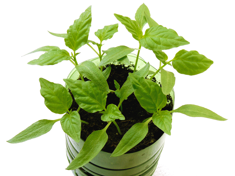 Comprehensive Plans to Reduce Waste in Manufacturing