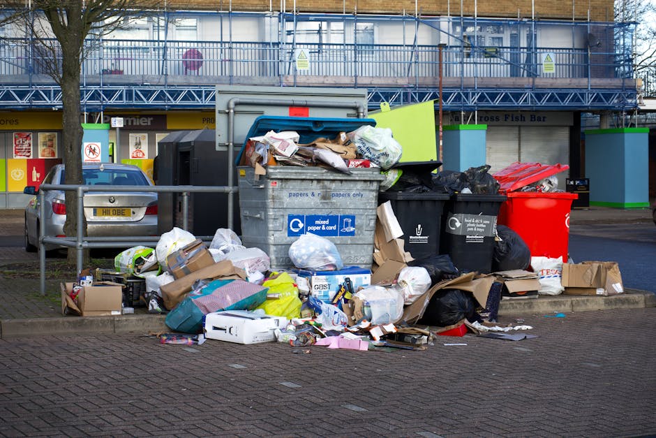 Urgent rubbish removal delays near Crystal Palace Park